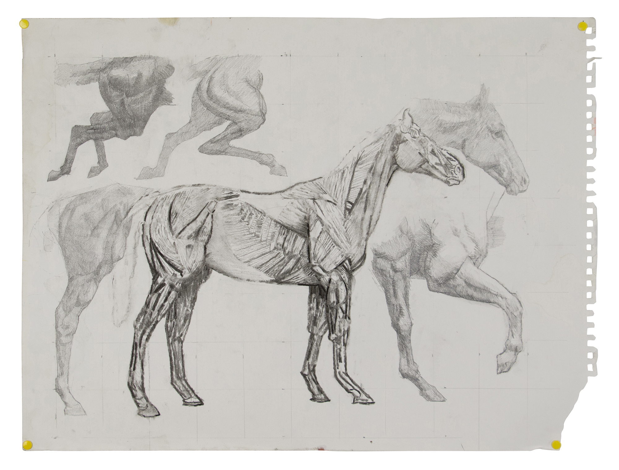 2018? - SIZE: 24 X 18 INCHES - PENCIL ON PAPER